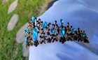 Aqua Blue Crystal Tiara Bridal Black Crown Birthday Wedding Gift Diadem Vintage