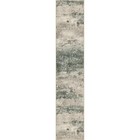 Runner Rug For Hallway Kitchen  2x10 2  X 10   rectangular  Muted Green beige
