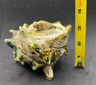 Vintage Florida Souvenir Majolica Seashell Sugar Bowl Creamer Set Japan Beach