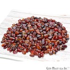 1 Oz Tumbled Stones Multi Agate Metaphysical Spiritual Gemstone  Healing Crystal