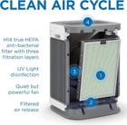 Ma-125 Genuine Replacement Filter   For Allergens  Wildfire Smoke  Dust   2-pack