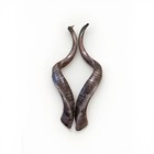 Twin Shofars Yemenite Kudu Horns Set 49  Xxxl Rare New Kosher Free Shipping Usa