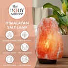 The Body Source Himalayan Salt Lamp 8-10 Inches  7-11ib   Includes Lamp Dimme   