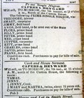 Rare 1856 Charleston South Carolina Pre-civil War Newspaper Wnamed Slaves 4 Sale