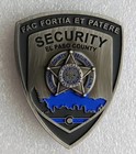 El Paso Sheriff Security Challenge Coin Police Court Swat Jail Colorado Springs
