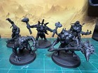Agr Of Sigmar Warcry Gorger Mawpack  built And Primed 