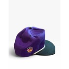 Wilson Evolution Basketball Genki Evo Edition Snapback Hat Cap Japan Manga Purp