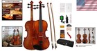 Traditional Italian Stradivarius Design Violin