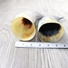 2 Raw Unfinished Cow Horns  9258     Natural Colored