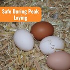 Wormstop Natural Chicken Dewormer Powder     All-natural Herbal Blend For Daily