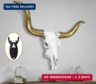 European Mount Skull Hanger 5 Skull Hooker Trophy Mounts Perfect Kit For Hanging