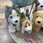 American Girl Doll Plush Pet Lot 7 Dogs   Cat With Pet Bath   Accessories