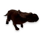 Pachyrhinosaurus Prehistoric Dinosaur Bbc Model Figure Toy 