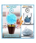 Crystal Growing Kit  Stem Projects Science Kits Crystals Diy Science