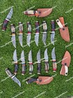 Lot Of 20 6  Inchs Handmade Damascus Steel Skinner Knife Hunt Rams Horn W sheath