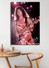 Eddie Van Halen Poster Photo Rare Print Wall Art Print