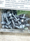 Palram  10 X 1-in Galvanized Exterior Wood Screws Free Shipping Lot Of 50