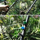 50 Pack 4gph Professional Grade Drip Emitter Garden Flag Irrigation Dripper    