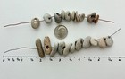 22 Holey Beach Rocks Hag Stones Adder Fairy Wish Bead Smooth Natural   5   2a Us