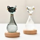 Storm Glass Weather Predictor Barometer Bottle Decor For Home Office Unique Gift