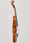 Possible Italian Violin  rustic  Mid-18th Century