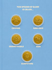 2026 Bluey Complete 7 Coin  2 Collection Royal Australian Mint   Bluey Bingo Unc