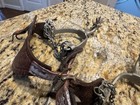 Vintage Western Cowboy Cowgirl Spurs  Leather Strap As Found