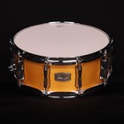 Yamaha 14  X 5 5  Stage Custom Birch Snare Drum  Natural Wood