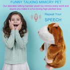 Talking Hamster Repeats What You Say Mimicry Pet Toy Plush Buddy Mouse With I   