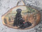 Tomahawk Wi Natural Wood Wall Art Plaque Picture Black Lab Dog Lake