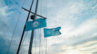 Very Rare Jimmy Buffett Margaritaville University Flag Banner  3  X 5  