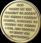 One Day At A Time Camel Serenity Prayer Bronze Sobriety Medallion Coin Aa Chip 