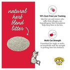 Dr  Elsey s Precious Cat Attract Clumping Clay Cat Litter  20lb Box