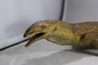 Monitor Lizard Replica Green Realistic Pvc Aaa