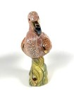 De Rosa Rinconada Family Collection Adult  flamingo flamenco   f216