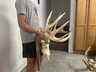        Massive 11 Point Buck Harvested In Alabama   Antlers Are Real     