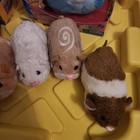 Vintage Zhu Zhu Pets Hamster Lot 8 Hamsters Princess Car Playset