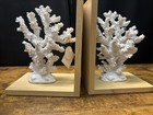 White Resin Textured Coral Decorative Bookends With Brown
