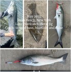 Navicatch Saltwater Silver Fishing Lures Fishing Jigs For Bluefish striped Bass 