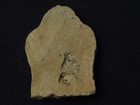 Antique  Tibet-mongolian Buddhist Clay Tsa Tsa