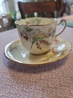 Princess Margaret Rose Teacup Saucer Paragon Fine China 