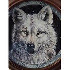 Vintage 1995 Bradford Exchange Mystic Spirit    arctic Nights    Wolf Plate W  Frame