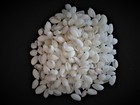 1 2 Pound Of White Bubble Sea Shells  Papawera Zeland  Beach Decor Craft