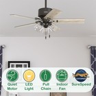 Hunter Fan 44 In Traditional Noble Bronze Ceiling Fan With Light And Pull Chain