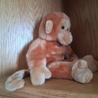 Ty Beanie Buddy  bongo  The Monkey