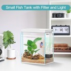Betta Fish Tank 2 Gallon Glass Aquarium Starter Kit Small Tanks W  Filte Light