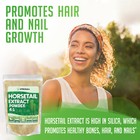 Horsetail Extract Powder For Hair Nail Bone Growth High Silica Content Vegan 