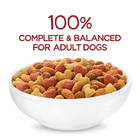 Purina  Originals With Farm-raised Beef Natural Dry Dog Food Recipe With Added V
