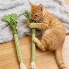 2pc Catnip Cat Chew Toy With Bell Interactive Molar Stick Teeth Cleaning Kitten