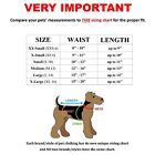 Pack 3 Or 6 Colors Dog Diapers Female Pants Stay On Suspenders For Small Dog Cat